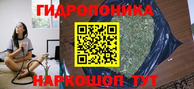 шишки Чебаркуль