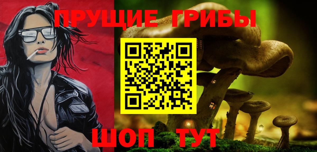 Тимашёвск  купить закладку  Вход с VPN  Псилоцибиновые грибы мицелий 